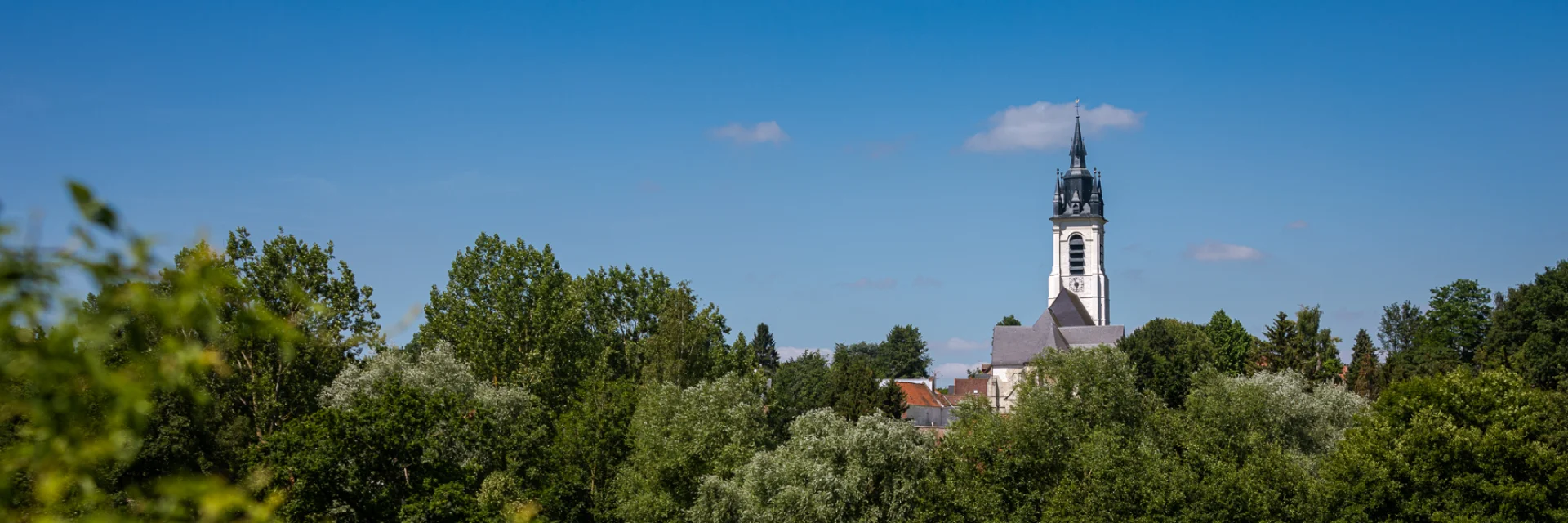 cow grazing in a meadow with the church in the background