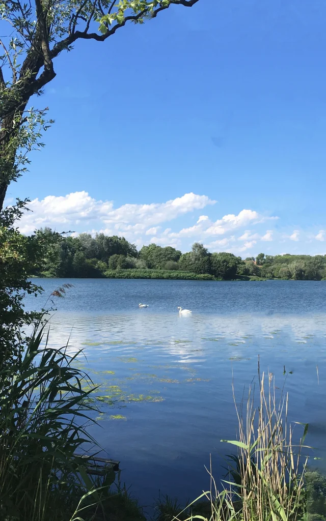 Pontoon view vineyard valenciennes