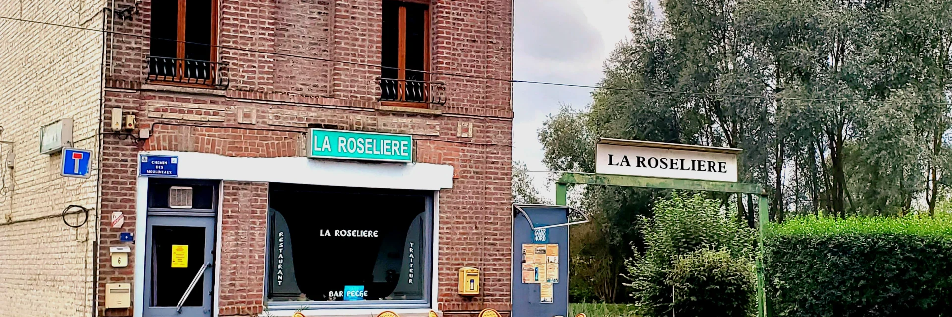 Der Schilfgürtel