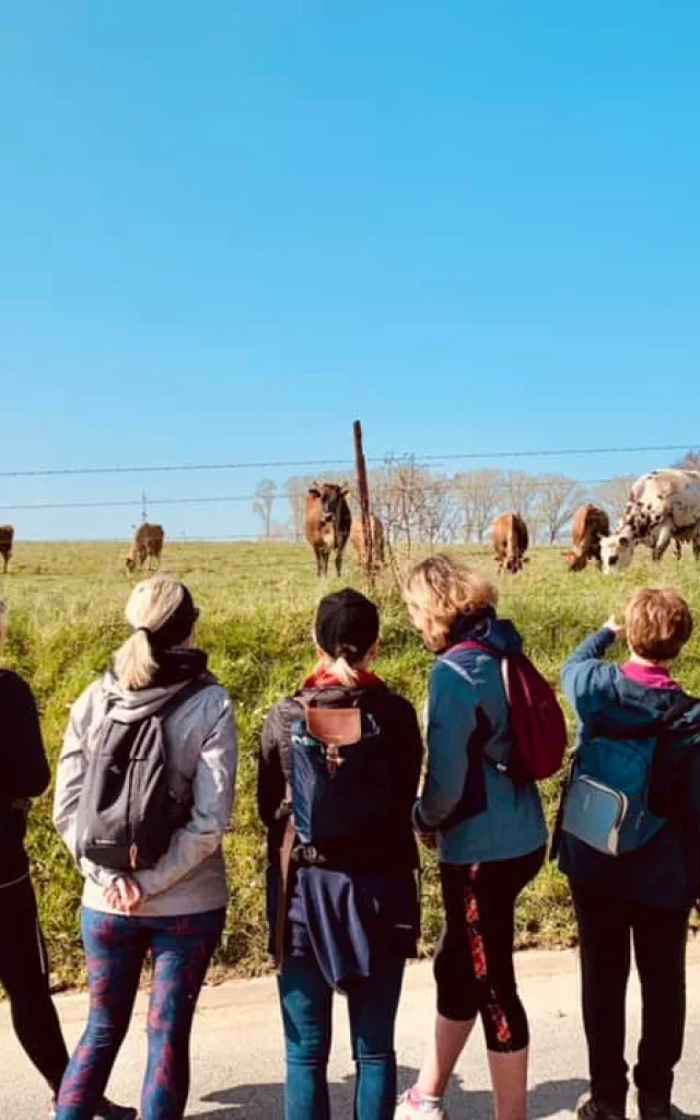 Artres Oh La Vache Dboukla