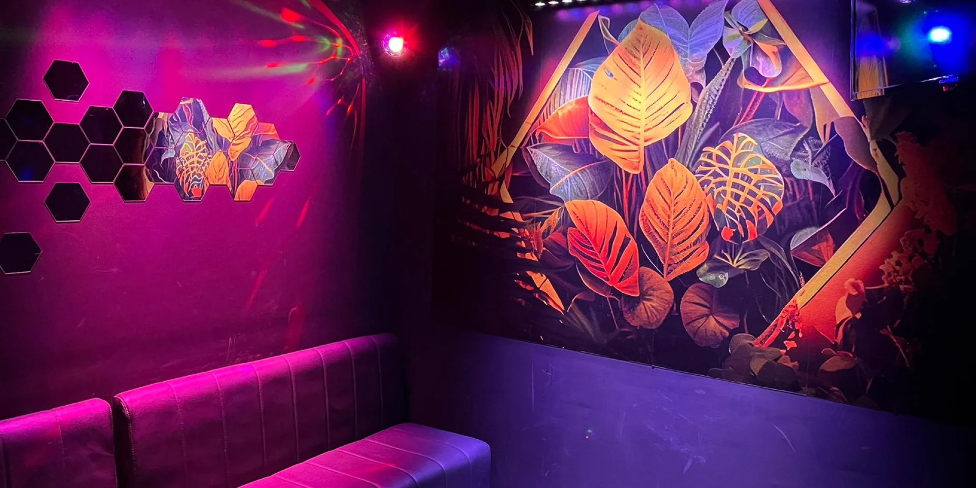 Karaoke Jungle Divertybox Valenciennes