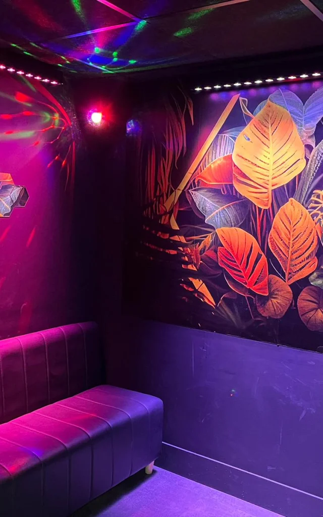 Karaoke Jungle Divertybox Valenciennes