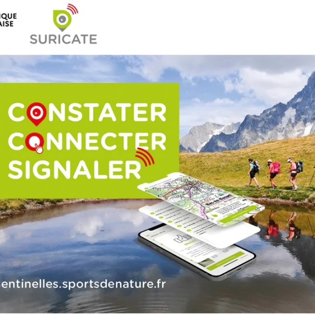 Suricate application gratuite