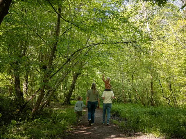 Foret De Bonsecours
