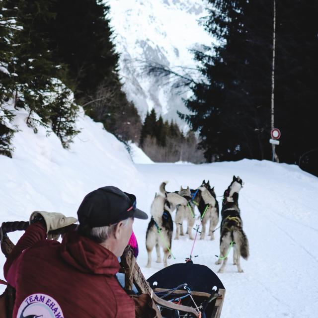Chiens De Traineaux Team Ehawee 2019 @ot Oz (5)