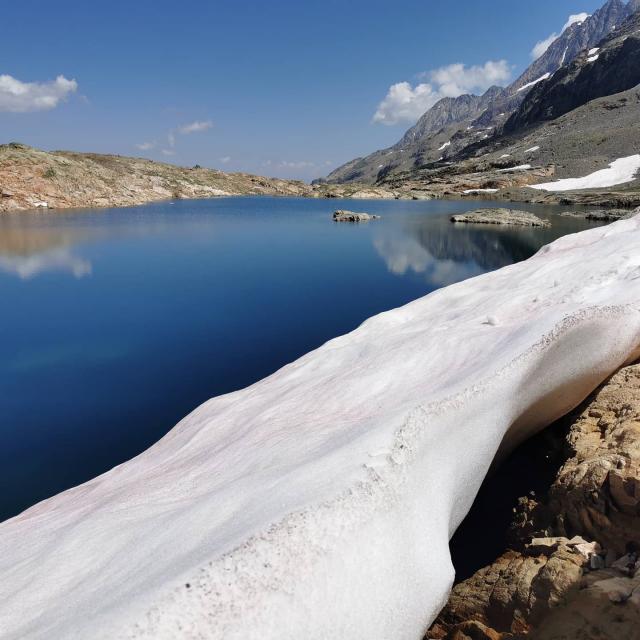 Instagram #ozenoisans