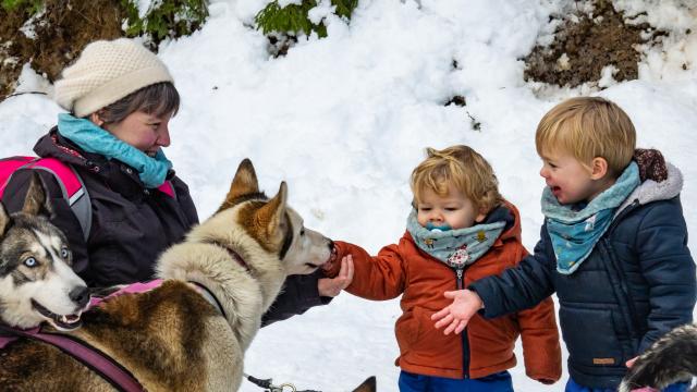 Chiens De Traîneaux 2020@images&rêves (12)