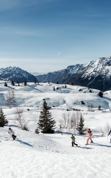 Carte Postale Ancienne - Alpe D'Huez - Ski D'été Au Glacier De Sarennes - Années 60