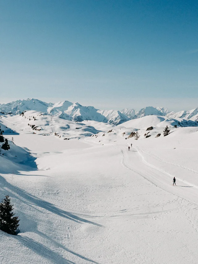 Accueil Nature Oz 3300