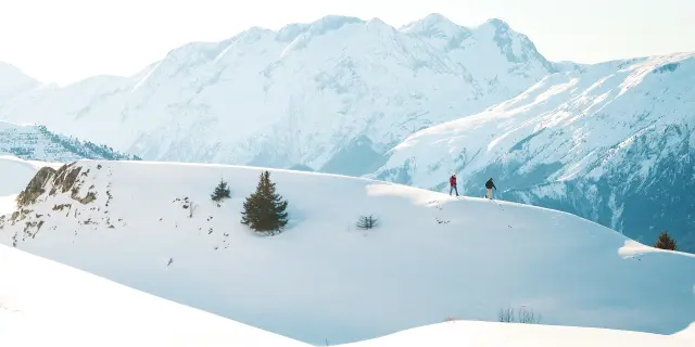 Pierreguilbaud 2025 6