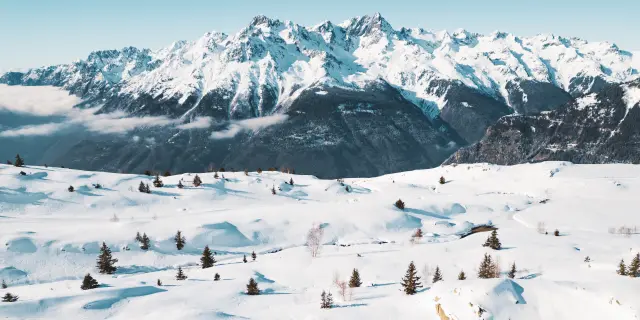 Pierreguilbaud 2025 25