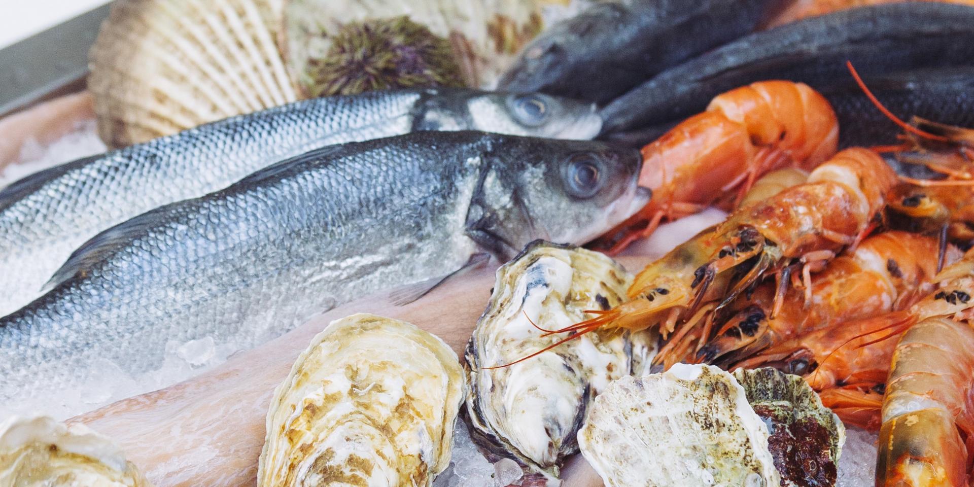 Rever D Acheter Du Poisson Frais Flâner dans les marchés & Acheter du poisson sur le quai | Site Officiel de  l Office de Tourisme de Palavas-les-Flots