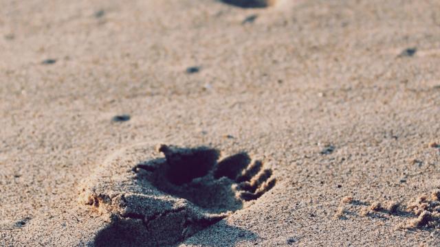 Christopher Sardegna Irygma No2q Unsplash