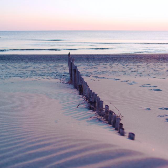 Chris Arock 4tksm 8unlo Unsplash