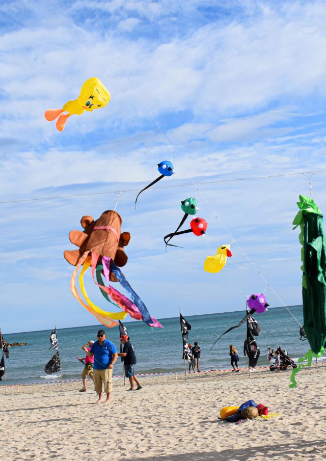 Volovent4©2019 F.hegoburu Ot Palavas Les Flots