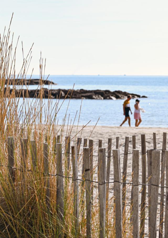 Balades pédestres plages 2022