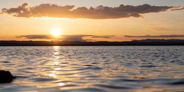 Coucher de soleil sur les étangs à Palavas-les-Flots : immersion nature