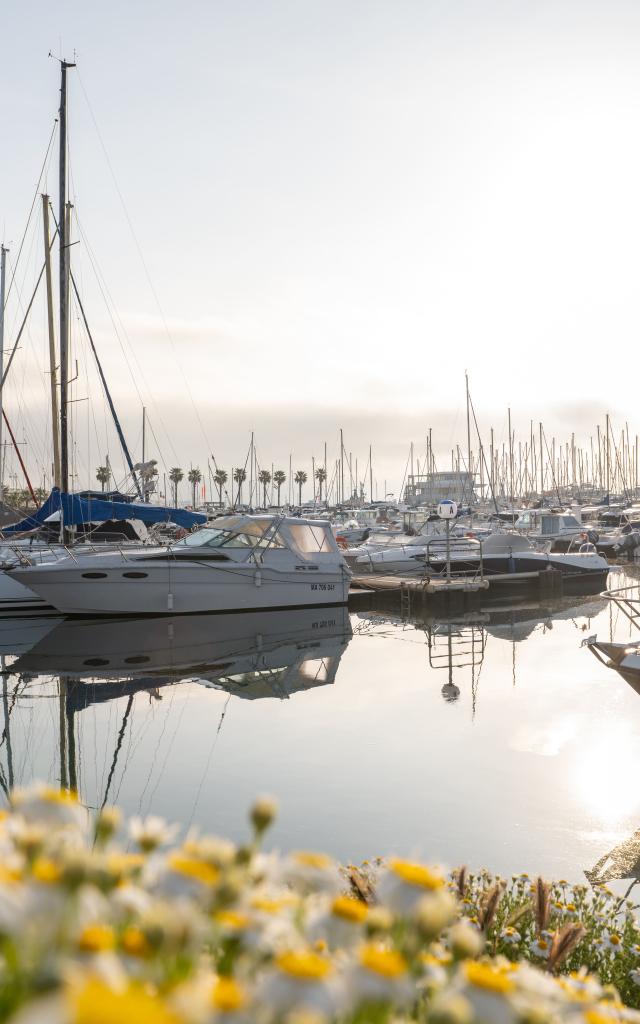 Port de plaisance à Palavas-les-Flots