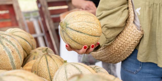 Les jours de marchés à Palavas-les-Flots 2023