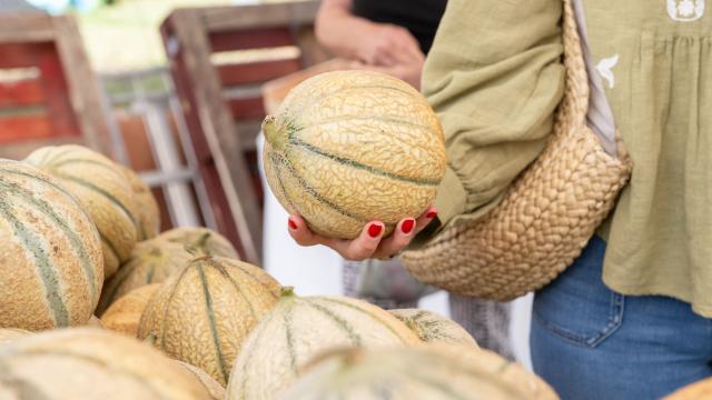 Les jours de marchés à Palavas-les-Flots 2023