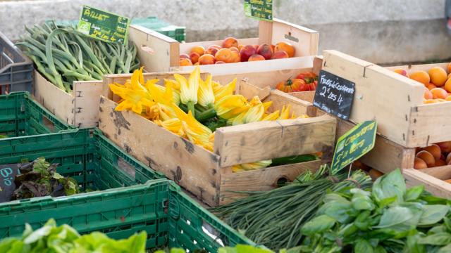 Les marchés colorés de Palavas-les-Flots