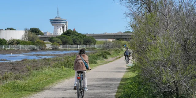 Piste cyclable à Palavas