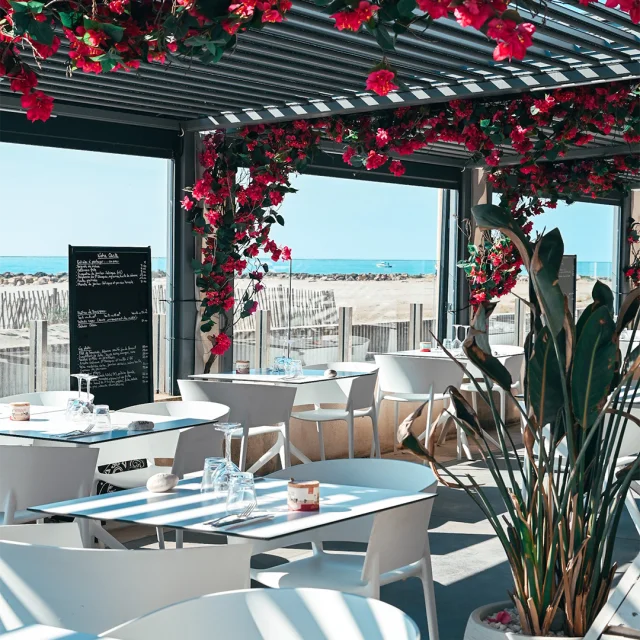 La Plage Des Lezards 1