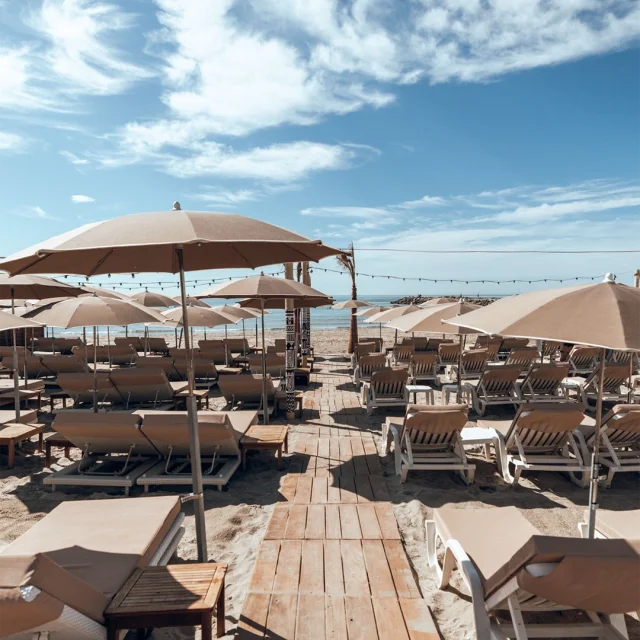 La Plage Des Lezards 2