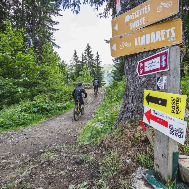 Pp Mtb Epp Denis Angheben Portesdusoleil 77