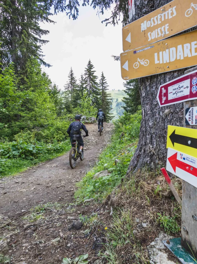 Pp Mtb Epp Denis Angheben Portesdusoleil 77