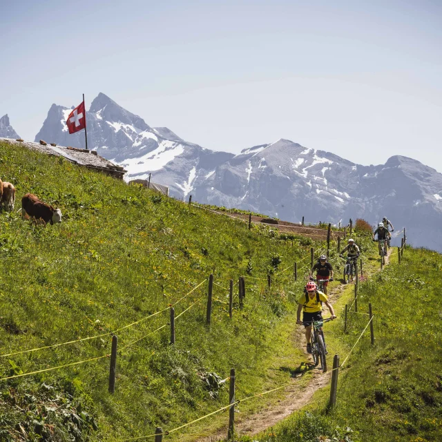 Pp Mtb Epp Denis Angheben Portesdusoleil 95