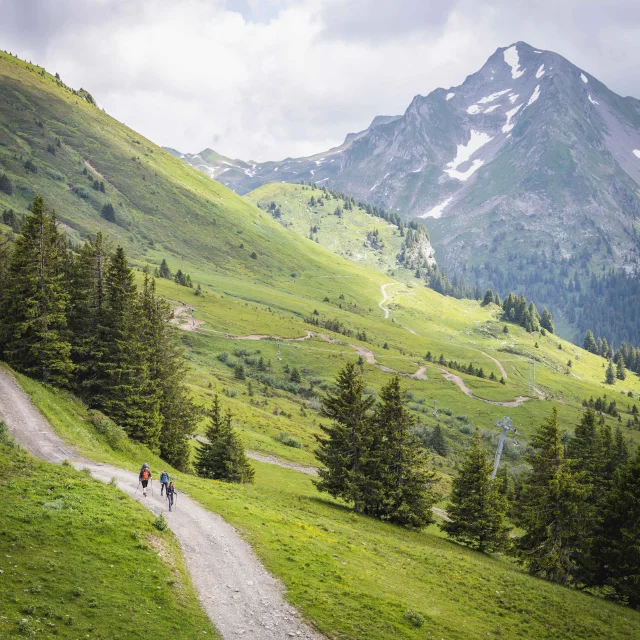 Pp Pedestre Denis Angheben Portesdusoleil 4