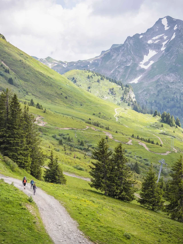 Pp Pedestre Denis Angheben Portesdusoleil 4