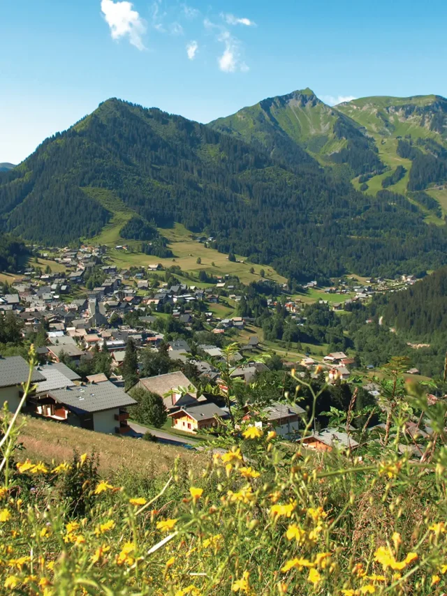 Chatel 3 179 63