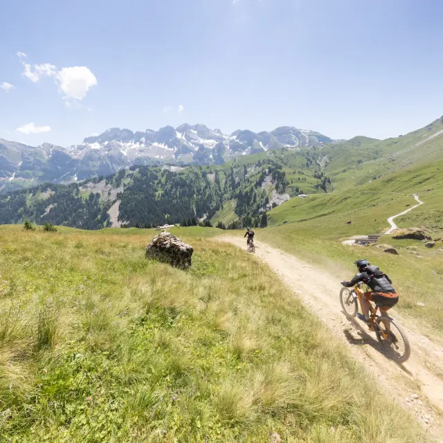 R51 8629 R‚solution Max ¸ Evoq Jb Bieuville