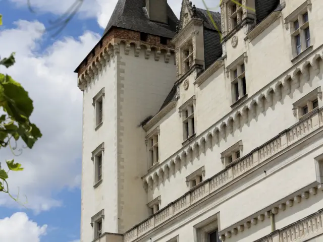 Chateau De Pau Bearn Feuilles Vignes Pau Pyrenees Tourisme