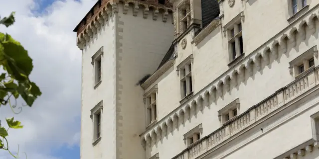 Chateau De Pau Bearn Feuilles Vignes Pau Pyrenees Tourisme