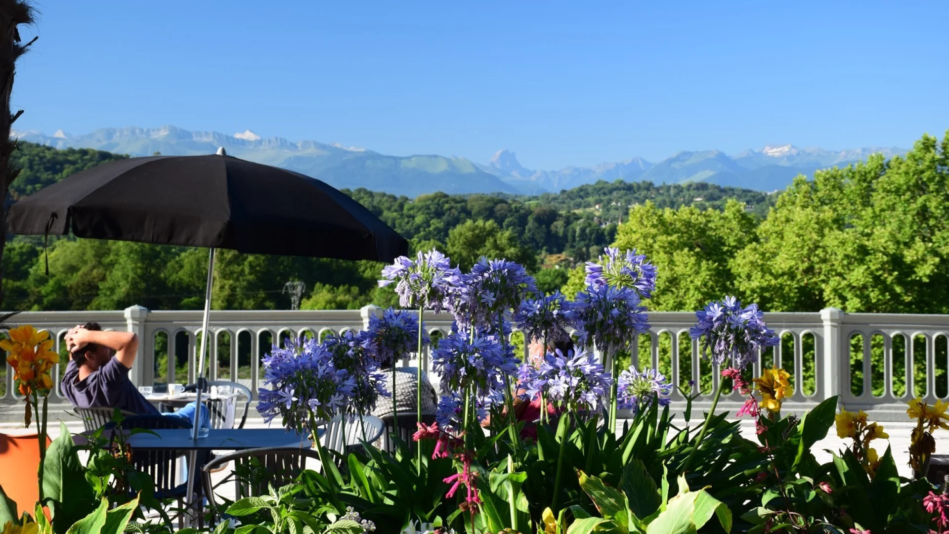 Détente sur le boulevard des Pyrénées - Pau