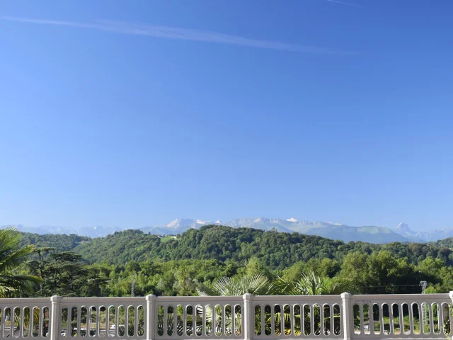 Les Pyrenees From Pau 03 1