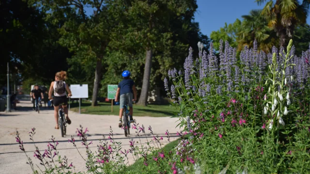 À vélo dans le parc Beaumont à Pau