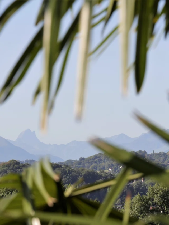 Pau, view from Boulevard des Pyrénées