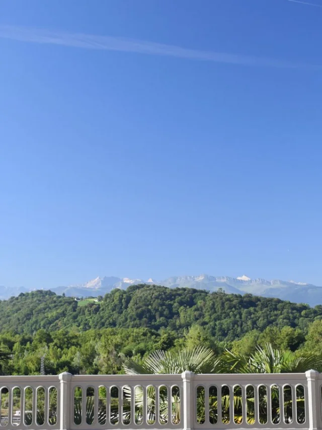 Boulevard des Pyrénées - Pau