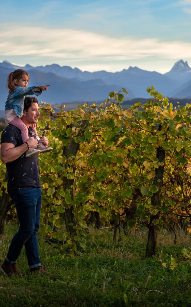 Vignobles De Jurancon Familles Ossau Pau Pyrenees Tourisme1