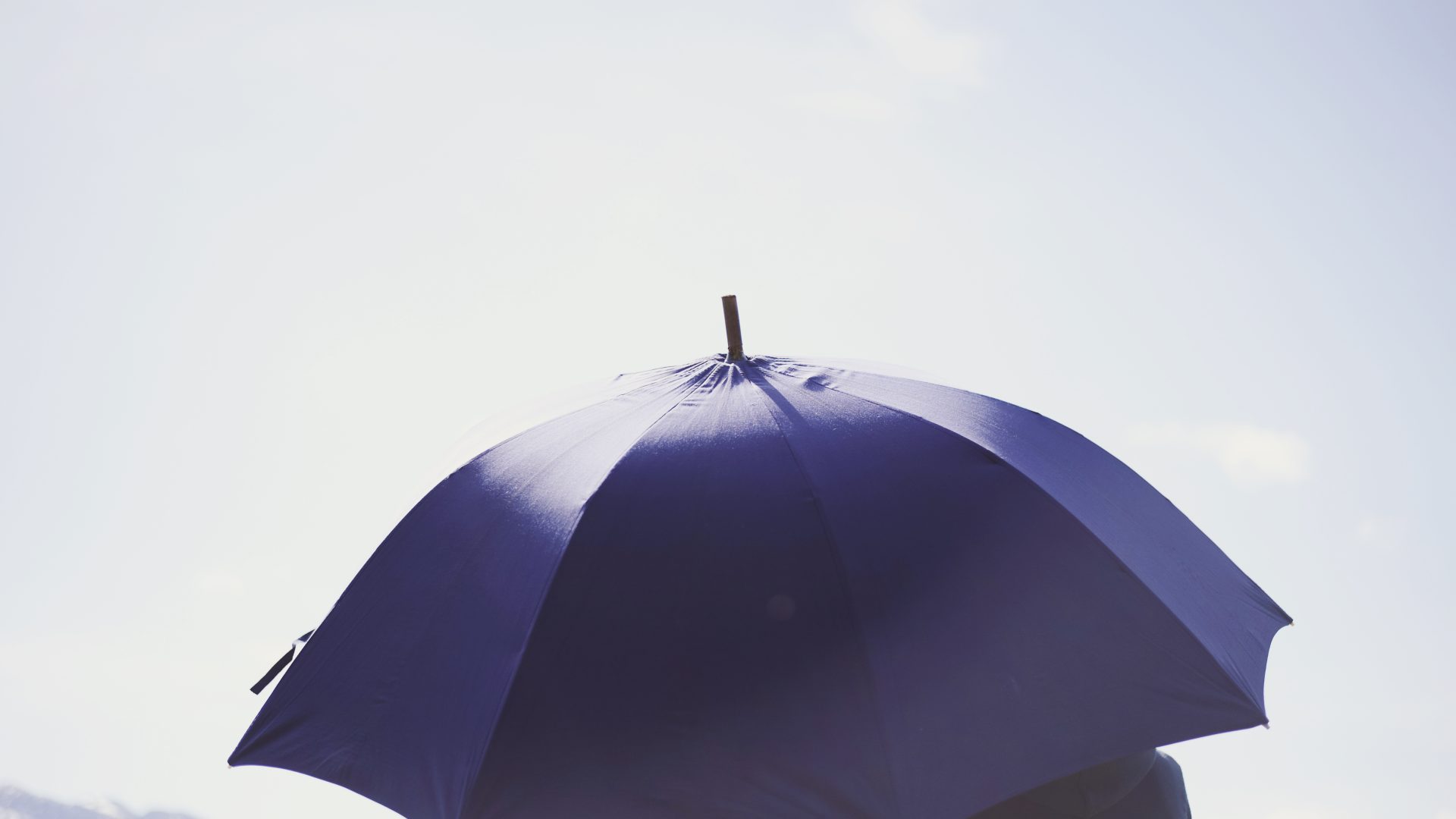 Parapluie de berger à Pau