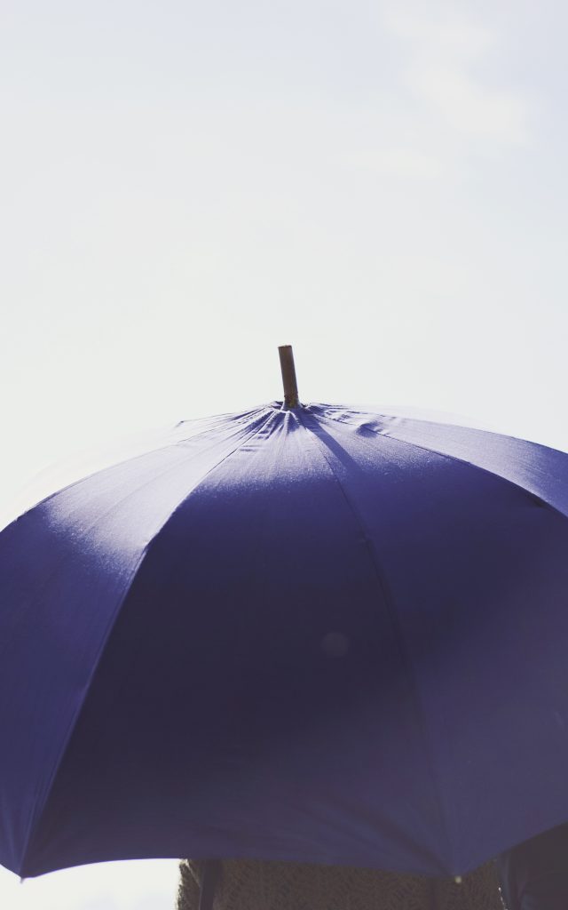 Parapluie de berger à Pau