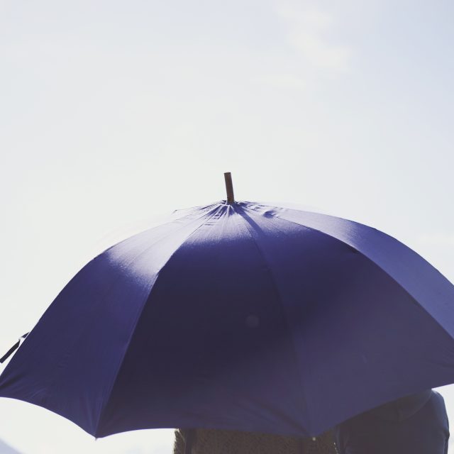 Parapluie de berger à Pau