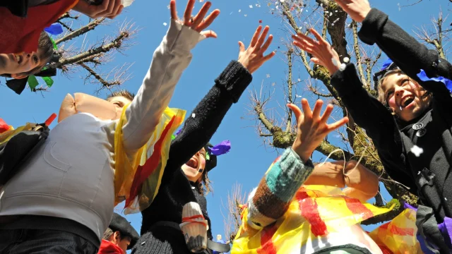 Carnaval Biarnes 02 Ville De Pau