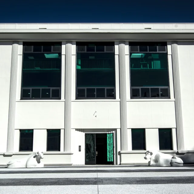 Musée des Beaux-Arts - Pau