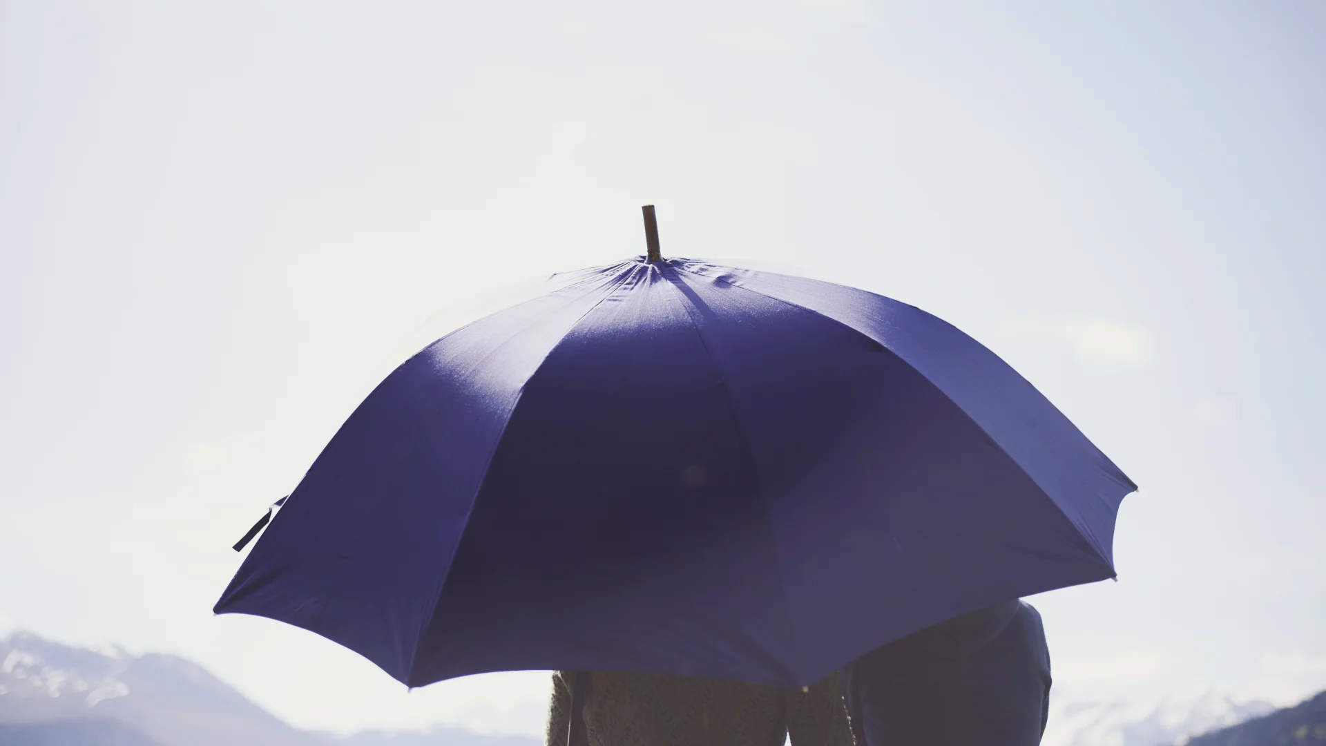 Parapluie de berger à Pau