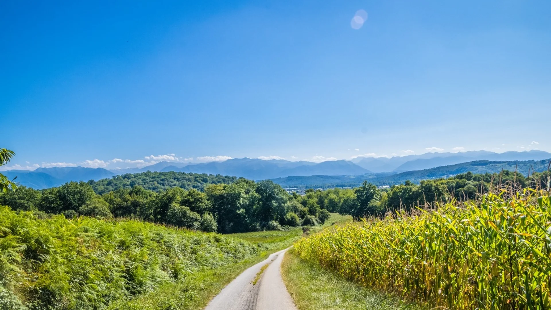 Randonnees Pau Bearn Pyrenees 01 Pau Pyrenees Tourisme La